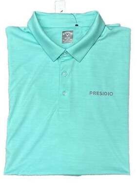 Callaway Golf Men's Micro Stripe Polo Shirt Mint Green 'Presidio' Logo